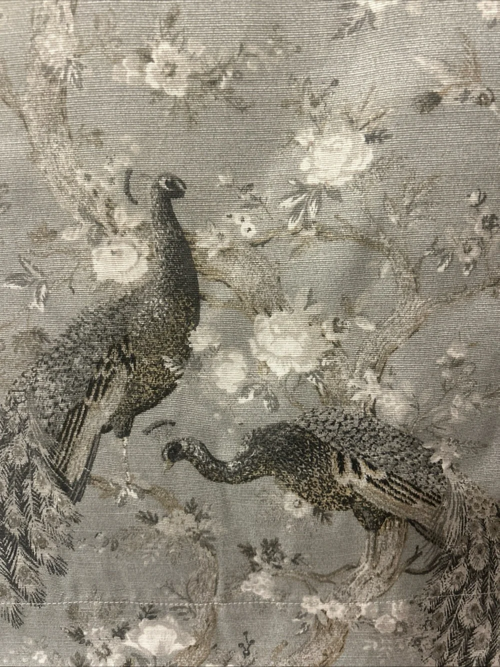 Laura Ashley GRAY Peacock and Floral 38”x 84” Belvedere Taupe
